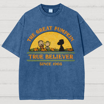 True Believer Since 1966 .Vintage Distressed T-shirt