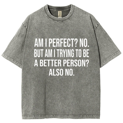 Am I Perfect No But Am I Trying To Be A Better Person Also No Vintage Distressed T-shirt