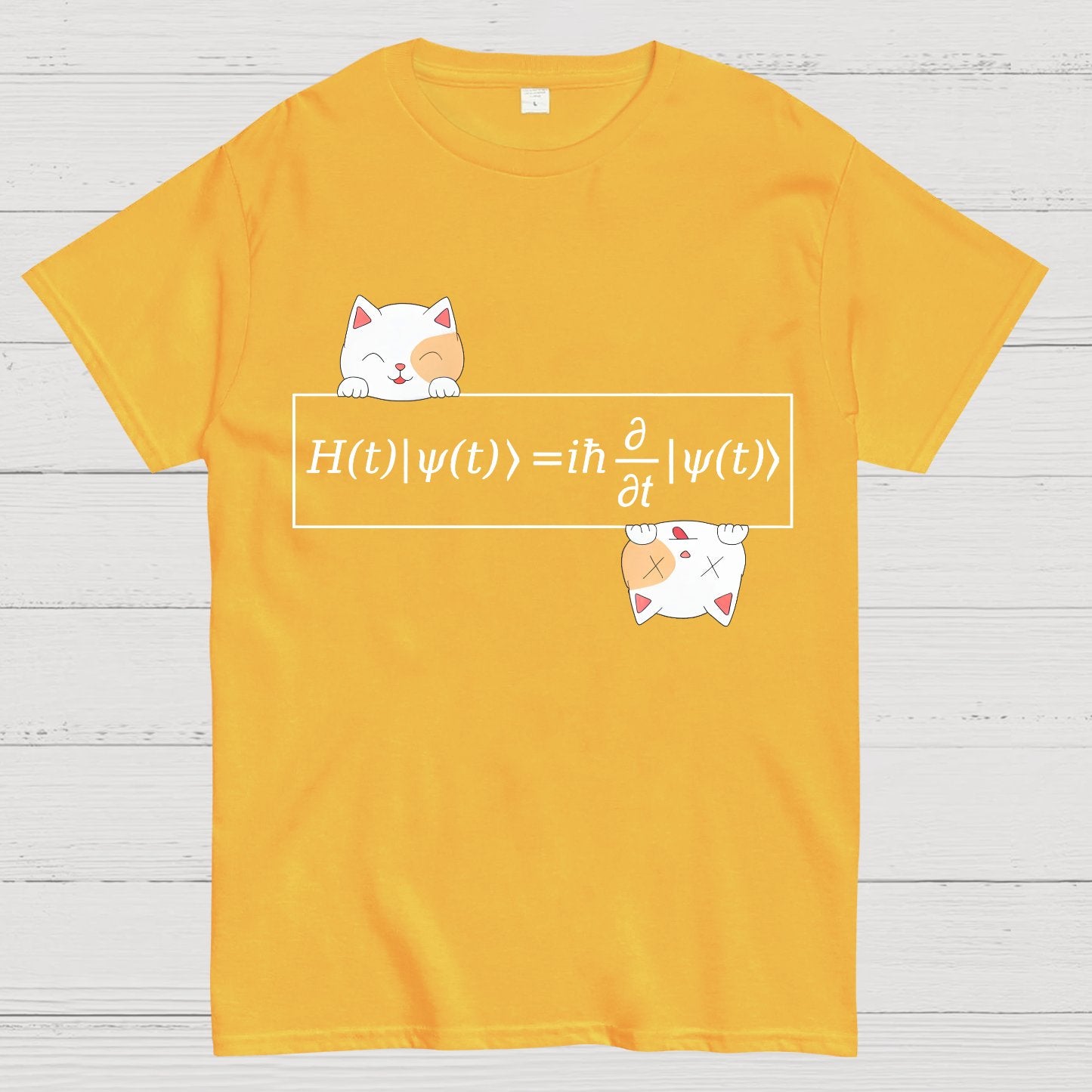 Schrödinger equation Geeky T-Shirt
