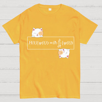 Schrödinger equation Geeky T-Shirt
