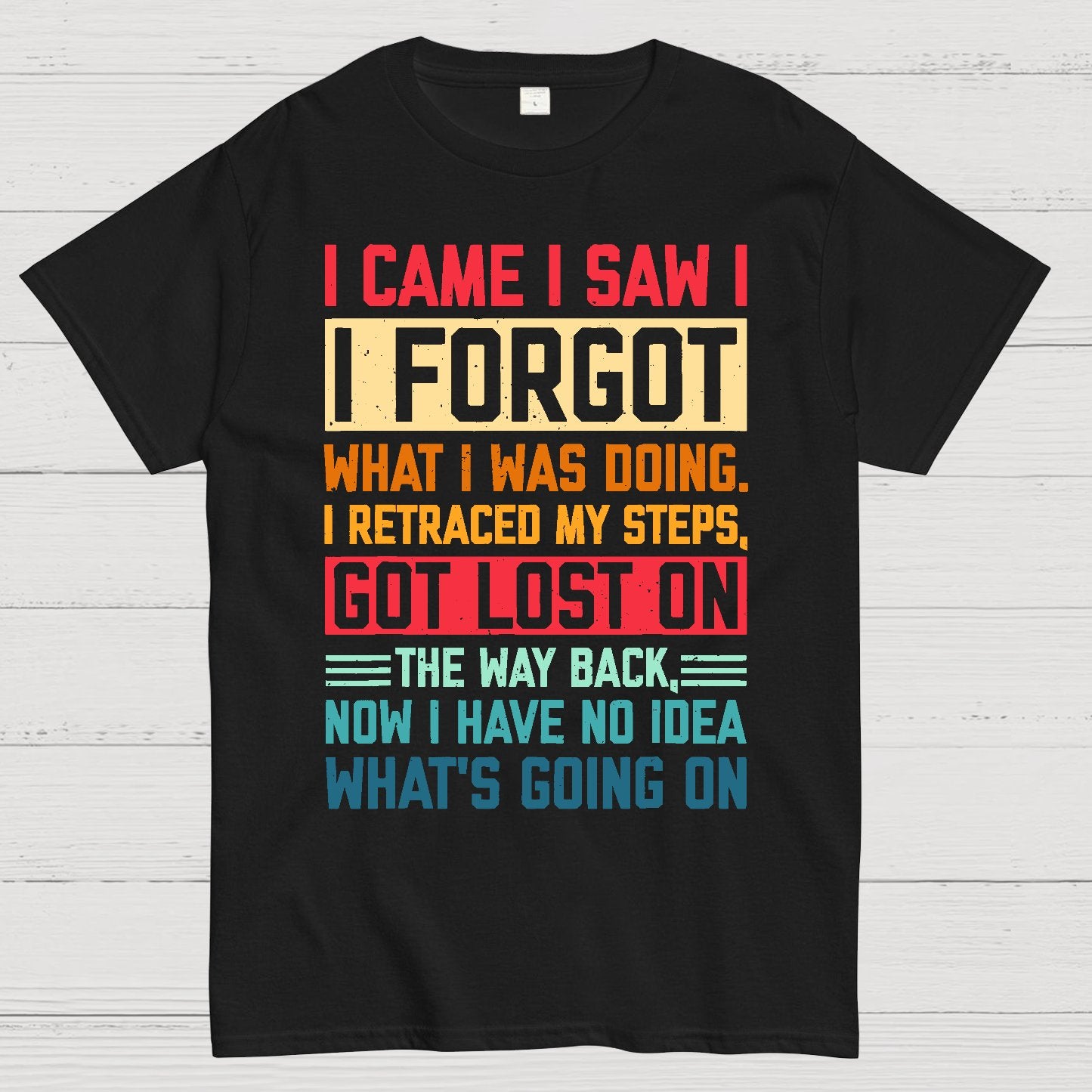 I Came I Saw I Forgot What I Was Doing Sarcastic Geek T-Shirt