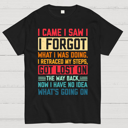 I Came I Saw I Forgot What I Was Doing Sarcastic Geek T-Shirt