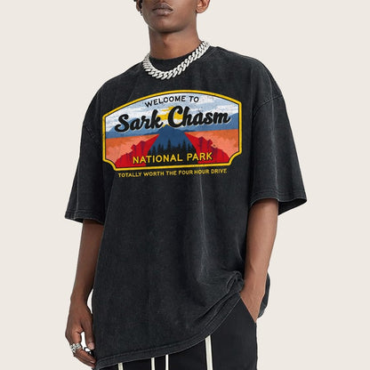 Welcome To Sarcasm Remix Vintage Distressed T-shirt