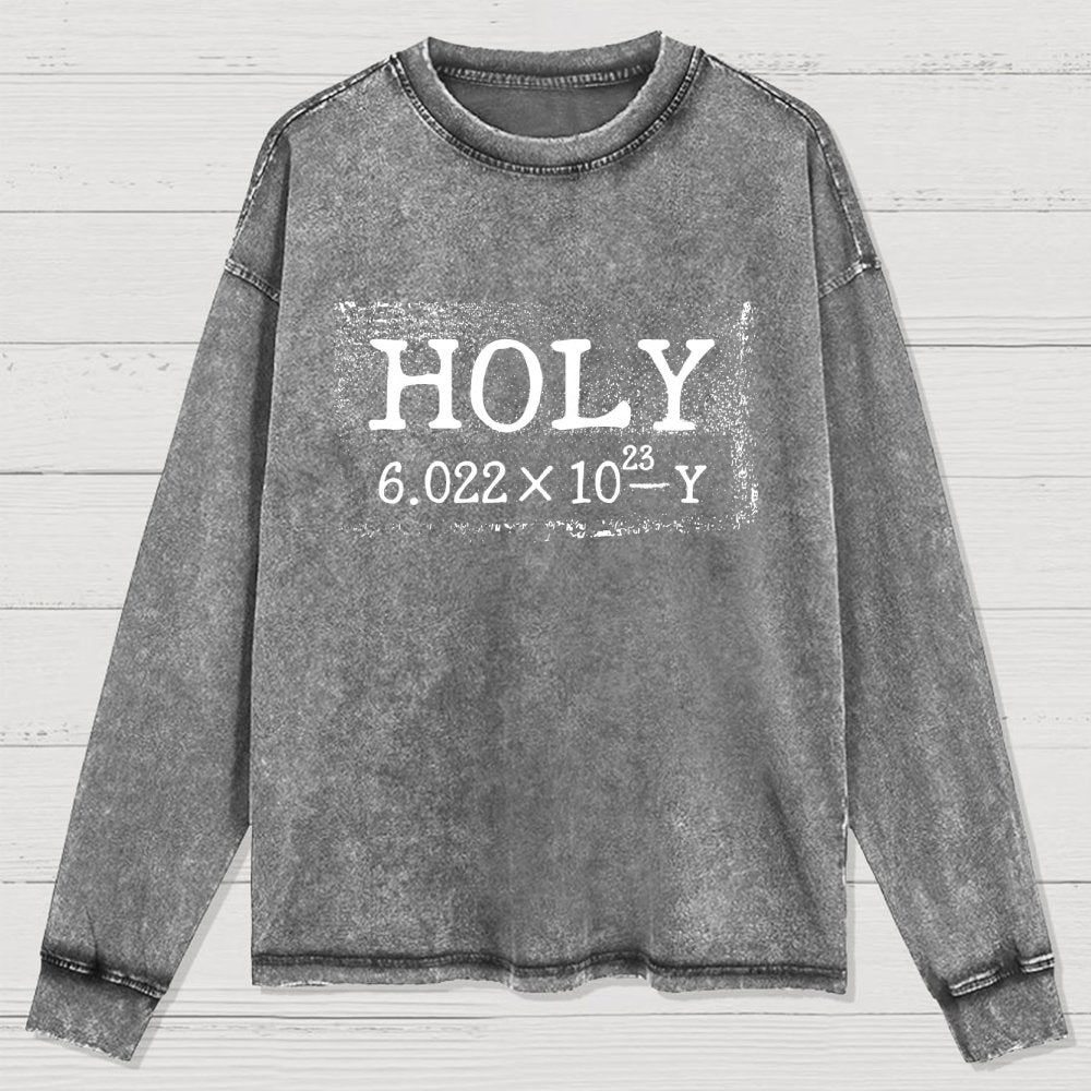 Holy Moley Avogadro Mole  Funny Washed Long Sleeve Tee
