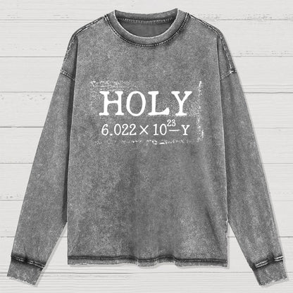 Holy Moley Avogadro Mole  Funny Washed Long Sleeve Tee