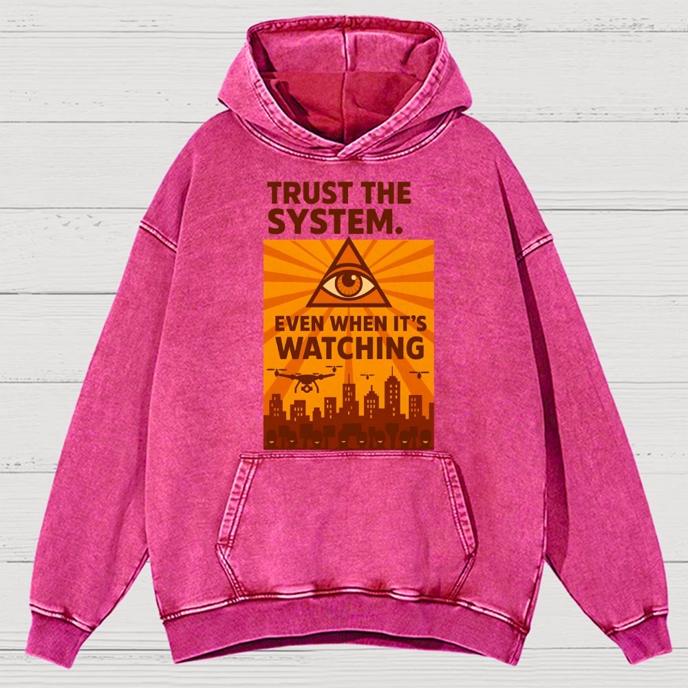 Trust The System - Dystopian Surveillance Vintage Distressed Hoodie