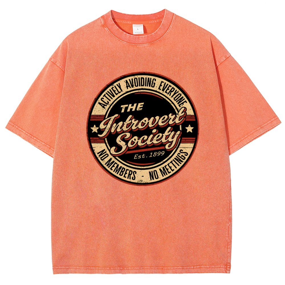 The Introvert Society Vintage Distressed T-shirt