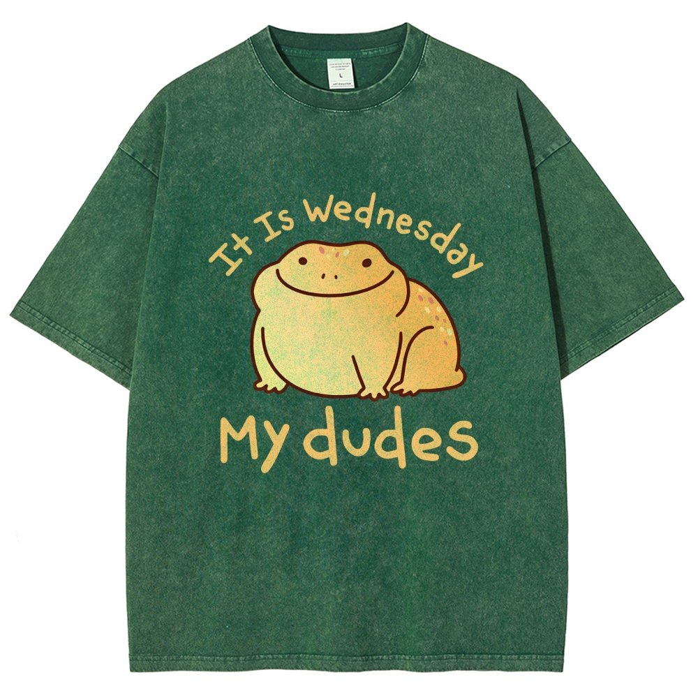 It's Wednesday My Dudes Vintage Distressed T-shirt