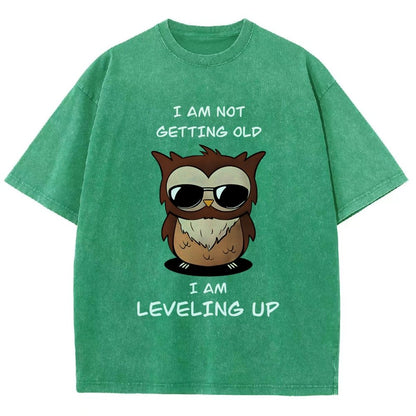 Leveling Up Vintage Distressed T-shirt