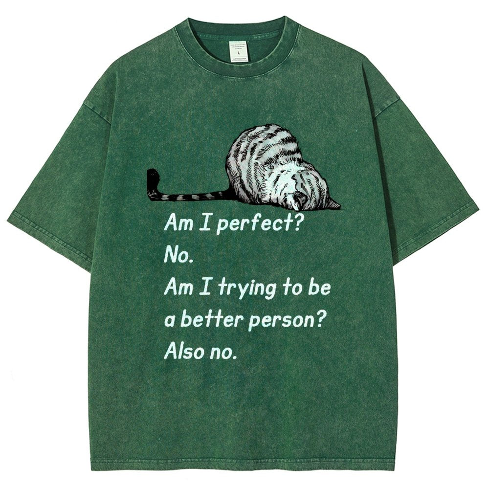Am I Perfect No Vintage Distressed T-shirt
