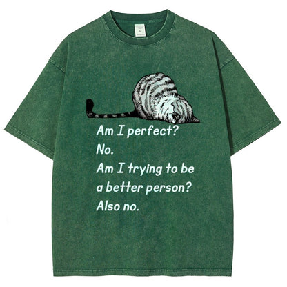 Am I Perfect No Vintage Distressed T-shirt