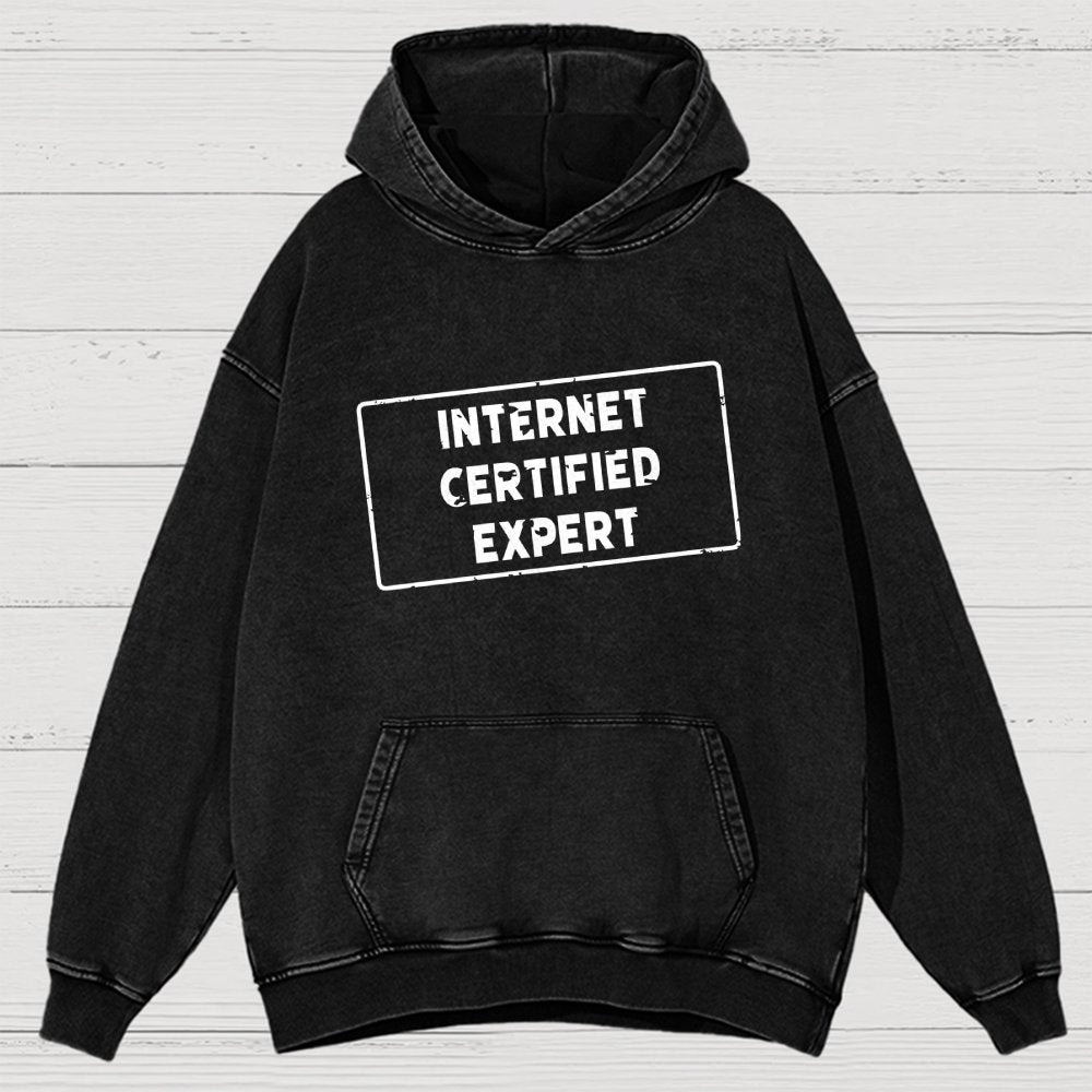Internet Certified Expert Vintage Distressed Hoodie