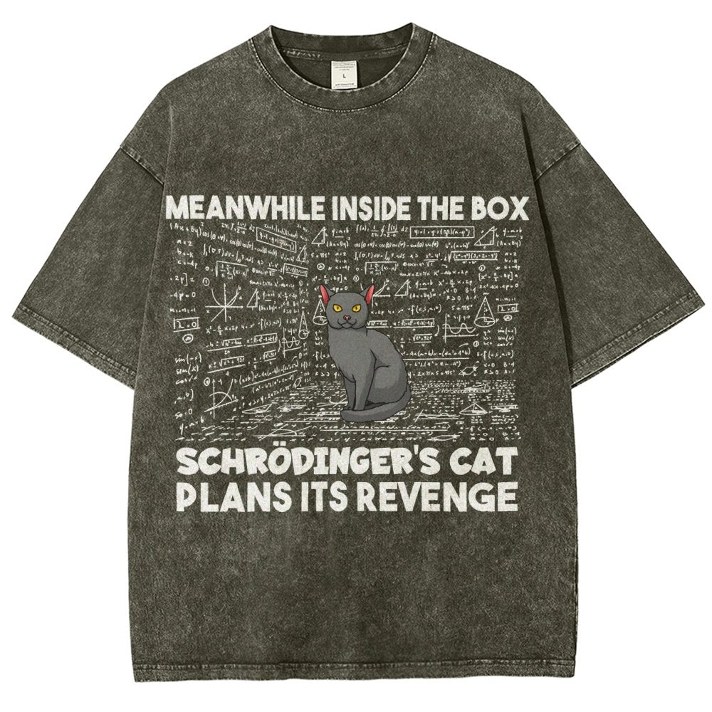 Inside The Box Schrödingers Cat Plans Its Revenge Vintage Distressed T-shirt