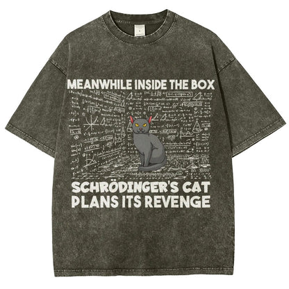 Inside The Box Schrödingers Cat Plans Its Revenge Vintage Distressed T-shirt