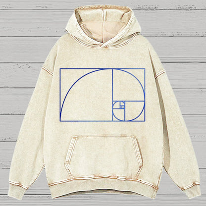 Distressed Fibonacci Spiral Geek Graphic Vintage Distressed Hoodie