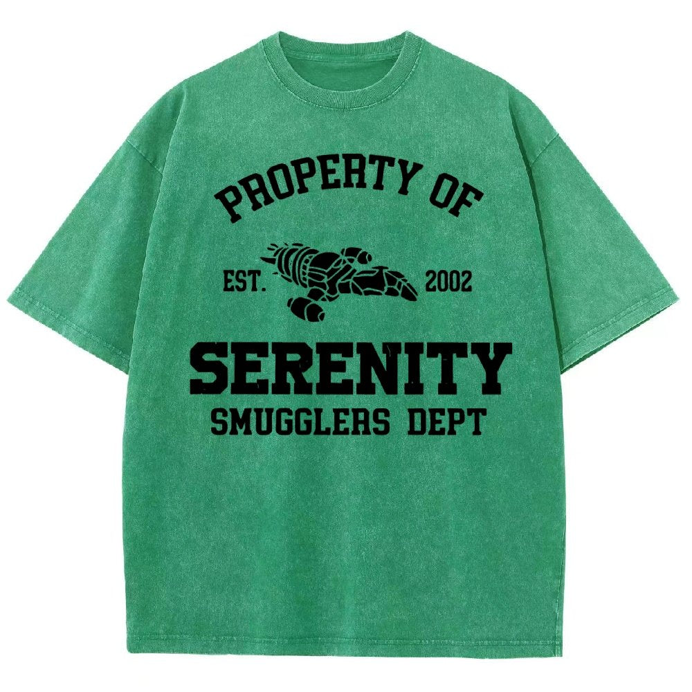 Property of Starlight Vintage Distressed T-shirt