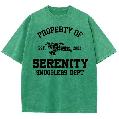 Property of Starlight Vintage Distressed T-shirt