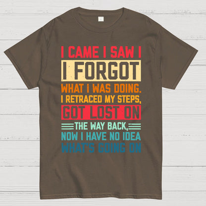 I Came I Saw I Forgot What I Was Doing Sarcastic Geek T-Shirt