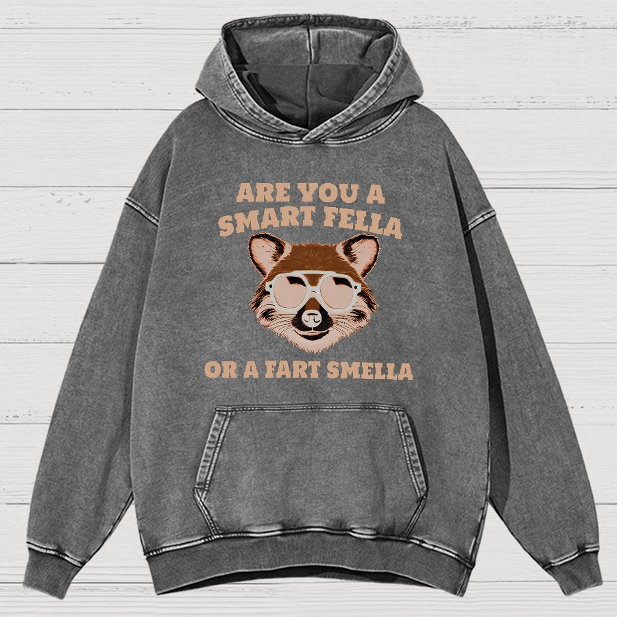 Are You A Smart Fella Or Fart Smella Vintage Distressed Hoodie