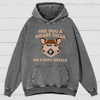 Are You A Smart Fella Or Fart Smella Vintage Distressed Hoodie