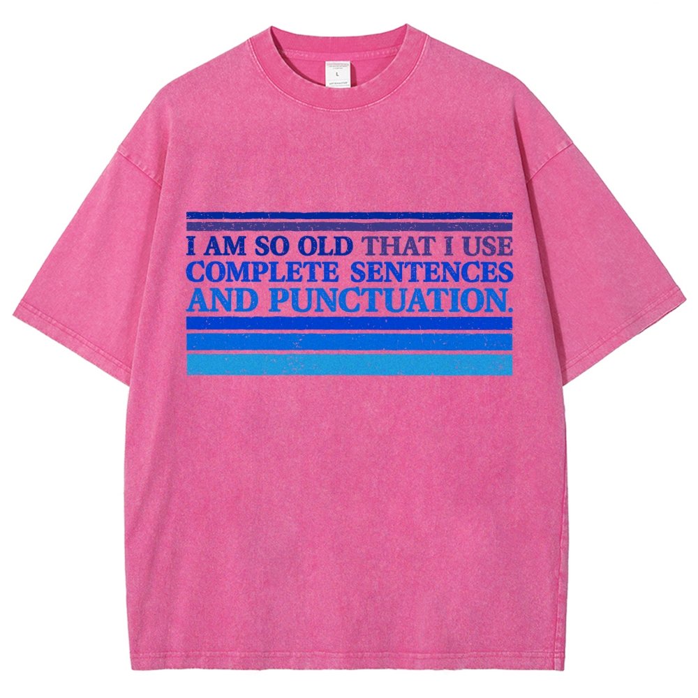 Complete Sentences and Punctuation Vintage Distressed T-shirt