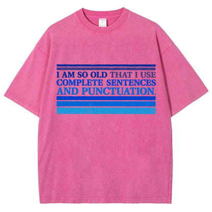 Complete Sentences and Punctuation Vintage Distressed T-shirt