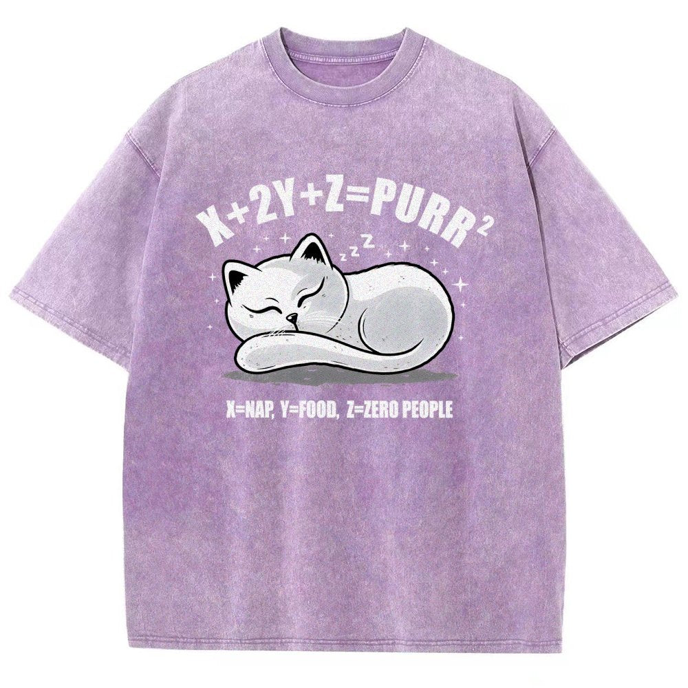 Purrfect Equation Vintage Distressed T-shirt