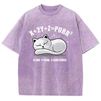 Purrfect Equation Vintage Distressed T-shirt