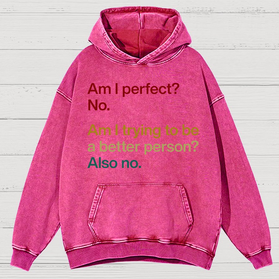 Am I Perfect ？No.Vintage Distressed Hoodie