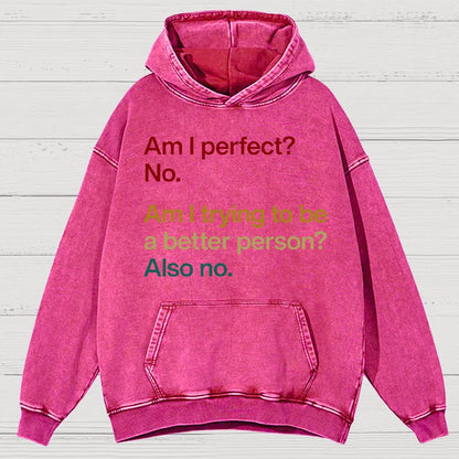Am I Perfect ？No.Vintage Distressed Hoodie