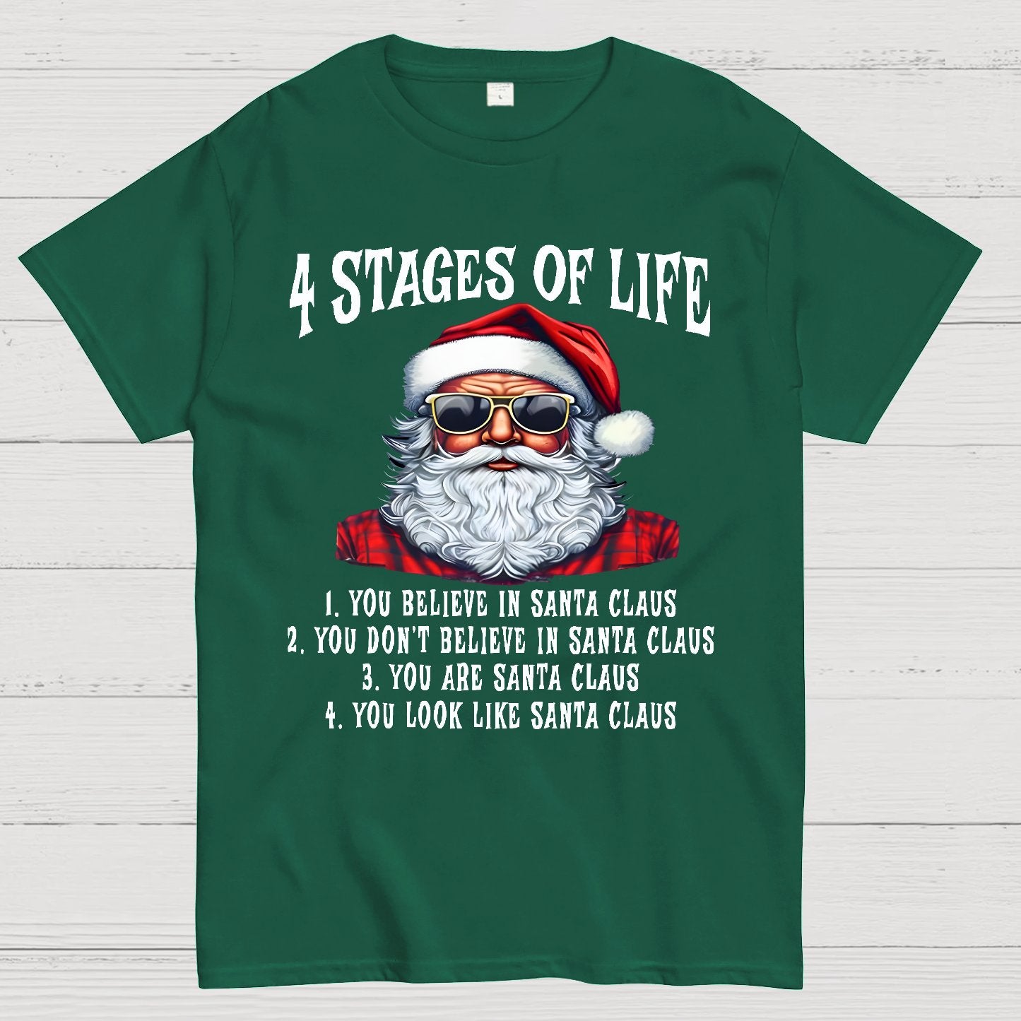 4 Stages Of Life Funny Christmas Geek T-Shirt