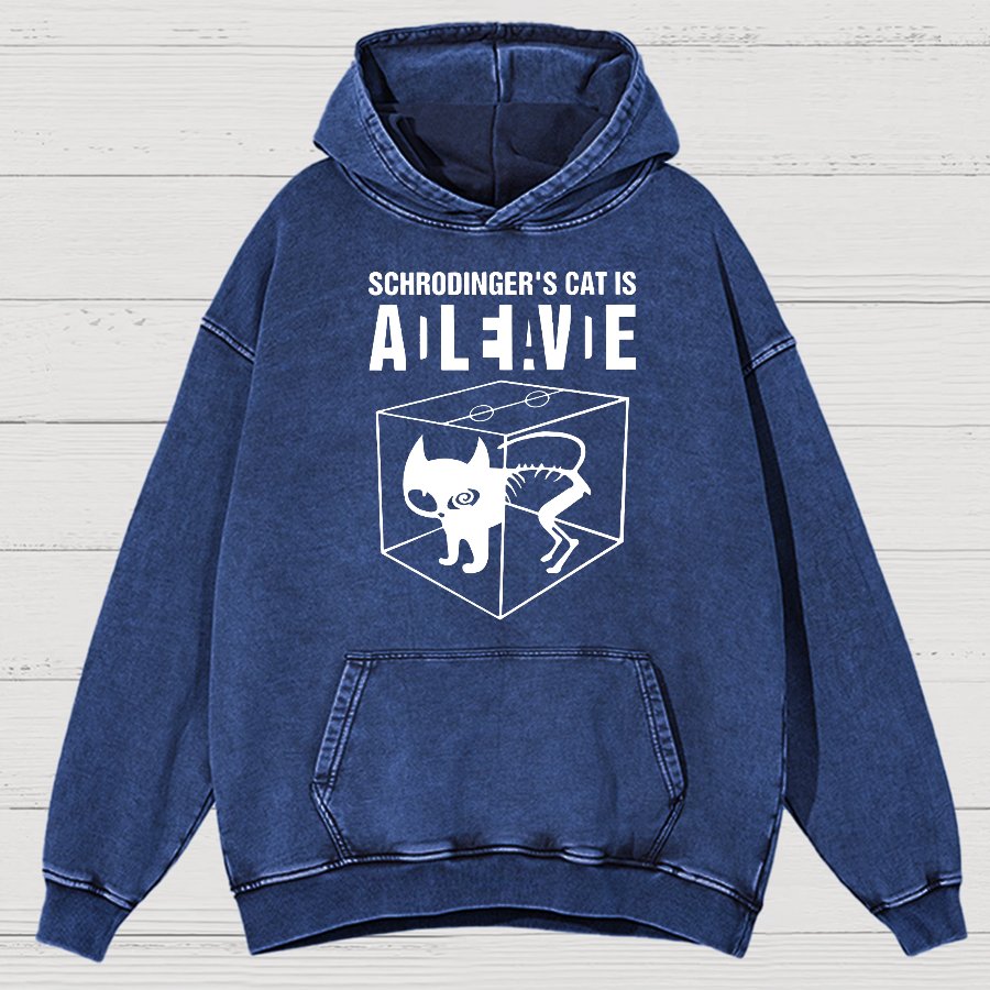 Schrodinger's Cat Vintage Distressed Hoodie