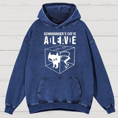 Schrodinger's Cat Vintage Distressed Hoodie
