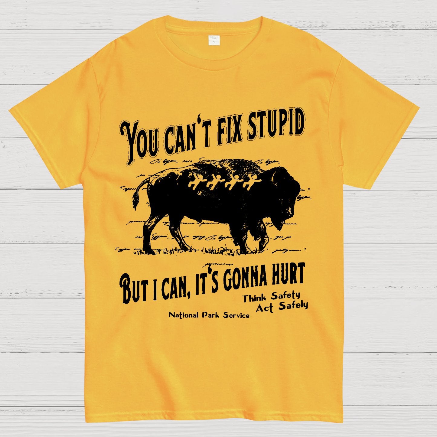 You Cant Fix Stupid Geek T-Shirt