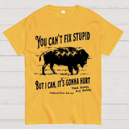 You Cant Fix Stupid Geek T-Shirt