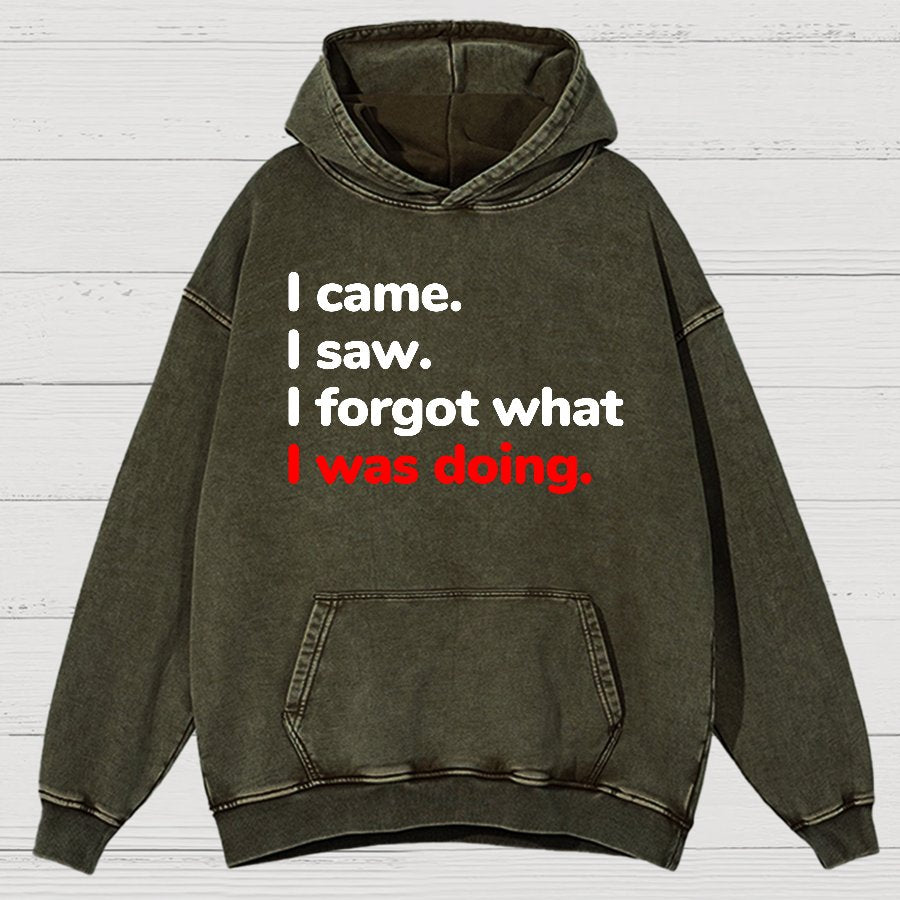 I Came. I Saw. I Forgot What I Was Doing Vintage Distressed Hoodie