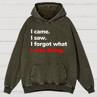 I Came. I Saw. I Forgot What I Was Doing Vintage Distressed Hoodie