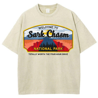 Welcome To Sarcasm Remix Vintage Distressed T-shirt
