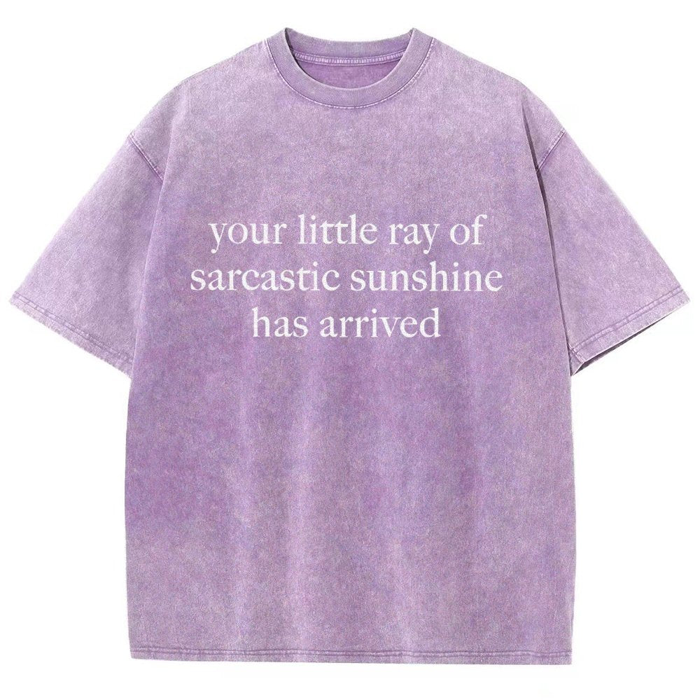 Your Little Ray of Sarcastic Sunshine Has Arrived Vintage Distressed T-shirt