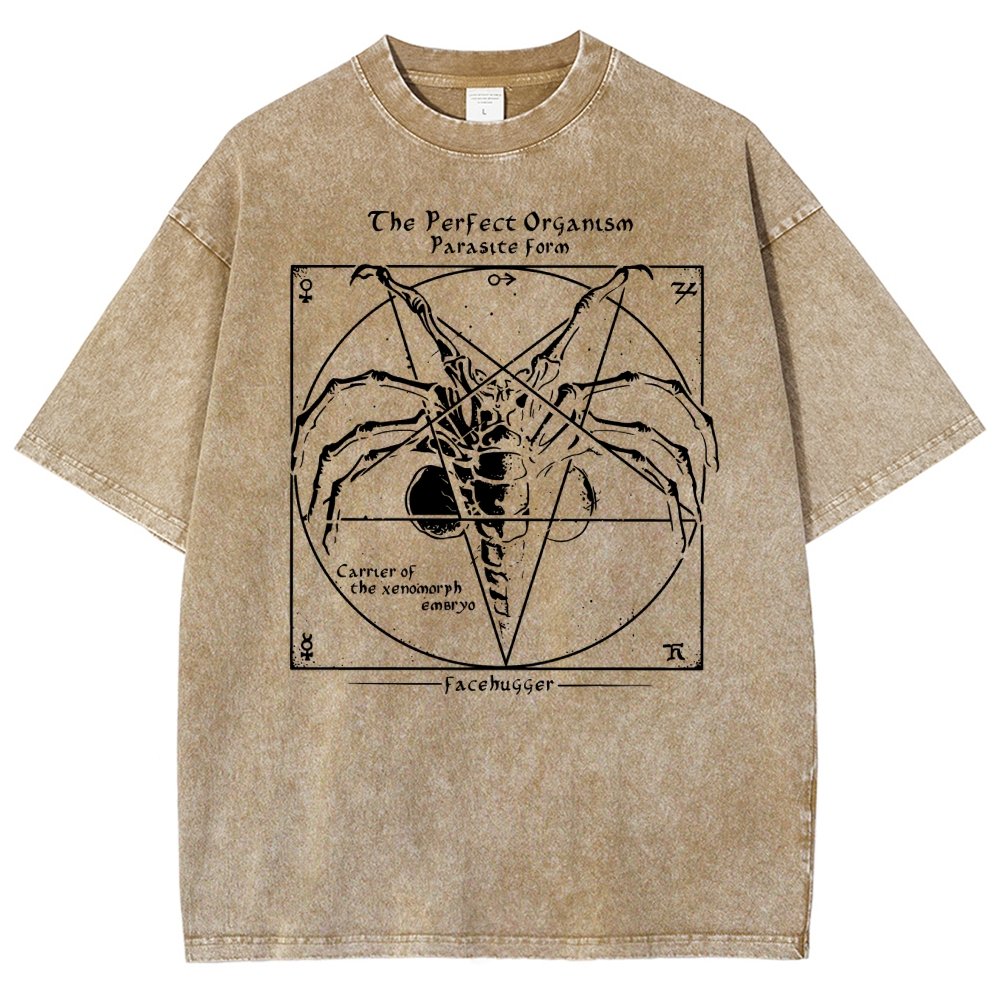 Mystery Pentagram Vintage Distressed T-shirt
