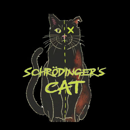 Schrödinger Cat Geeky T-Shirt