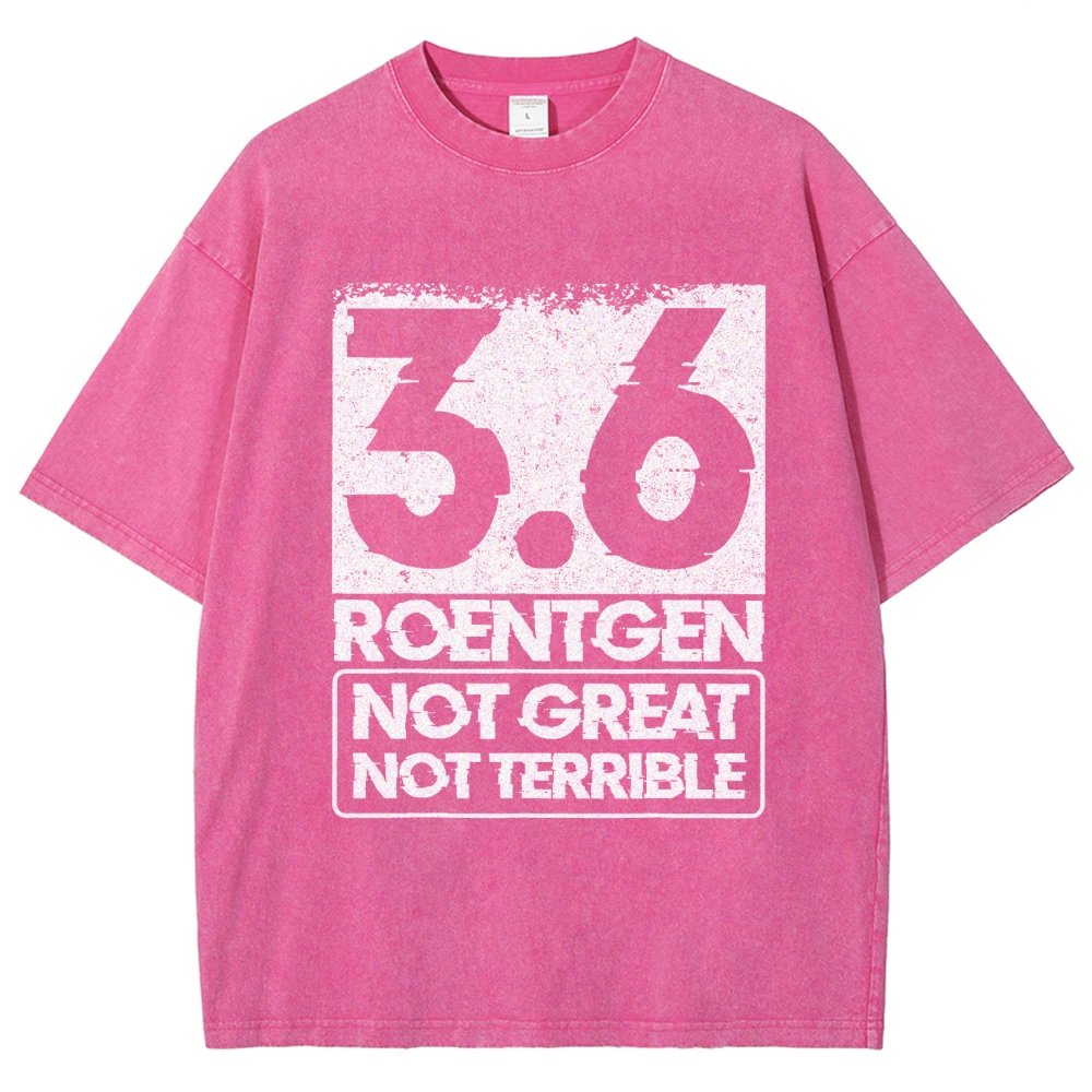 3.6 Roentgen Not Great Not Terrible Vintage Distressed T-shirt