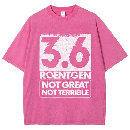 3.6 Roentgen Not Great Not Terrible Vintage Distressed T-shirt