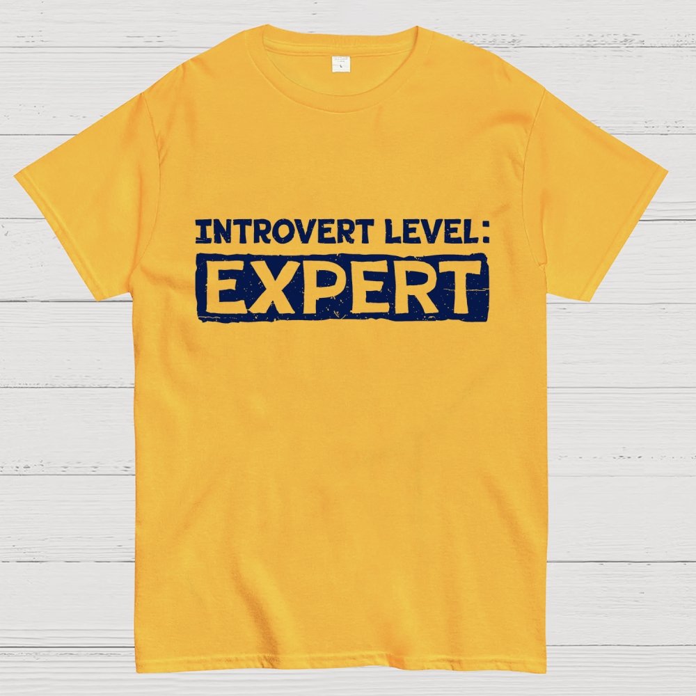 Introvert Level Expert  Geek T-Shirt