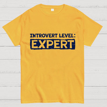 Introvert Level Expert  Geek T-Shirt