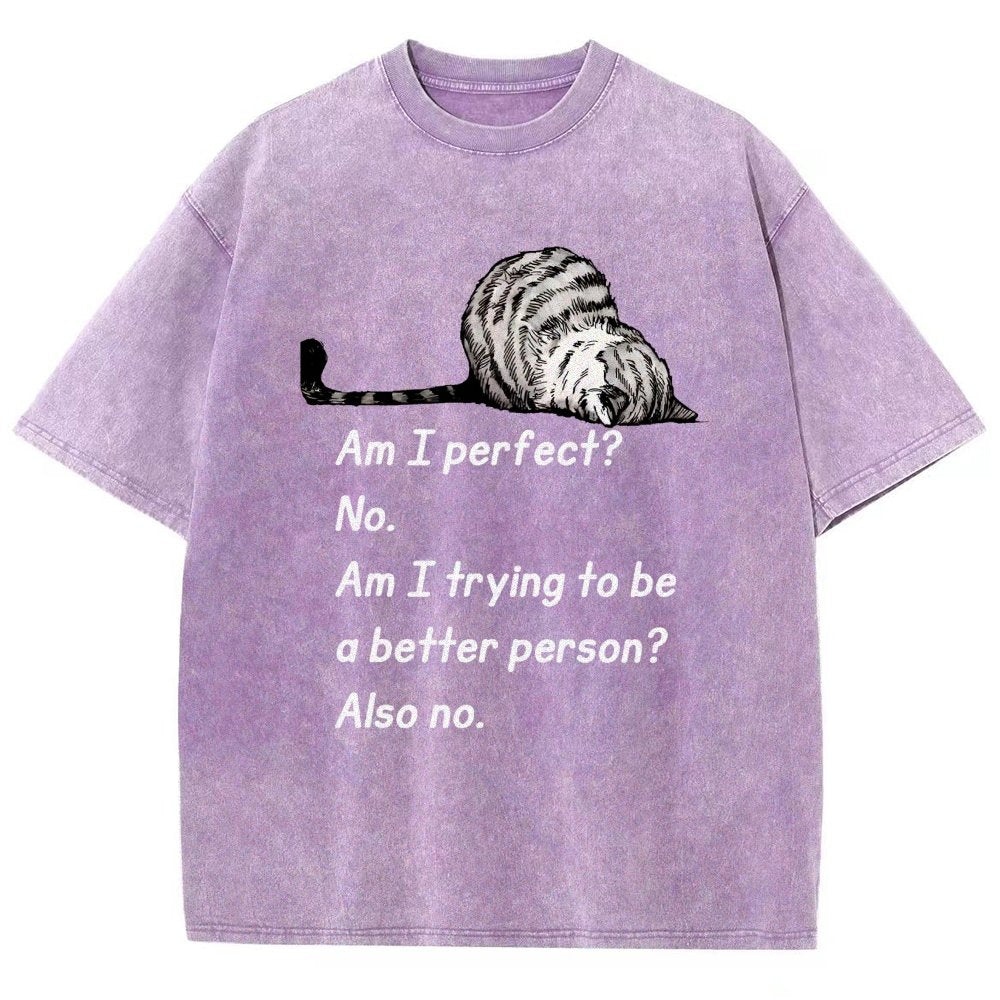 Am I Perfect No Vintage Distressed T-shirt