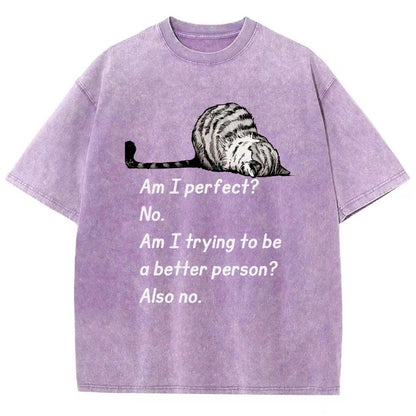 Am I Perfect No Vintage Distressed T-shirt