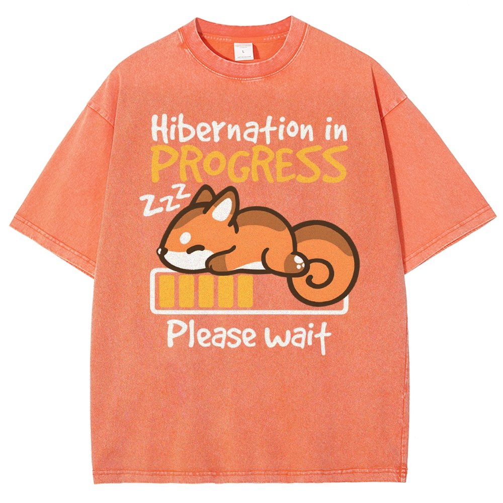 Hibernation In Progress Vintage Distressed T-shirt