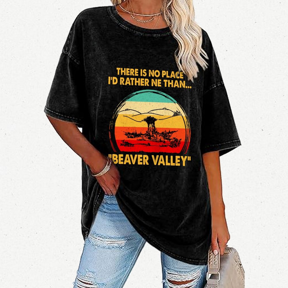 Beaver Valley Vintage Distressed T-shirt