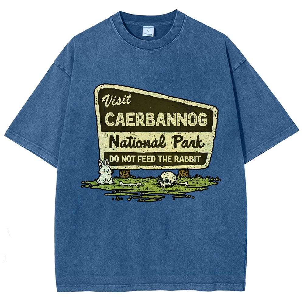 Mystic Valley National Park Vintage Distressed T-shirt